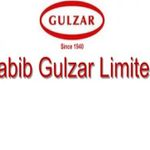 Habib Gulzar Group Of Companies logo