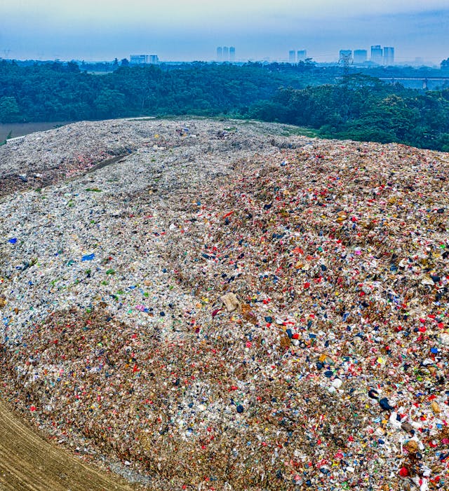 Return to Nature: Sustainable Solutions for Reducing Urban Pollution - Hadaf.af Blog Post